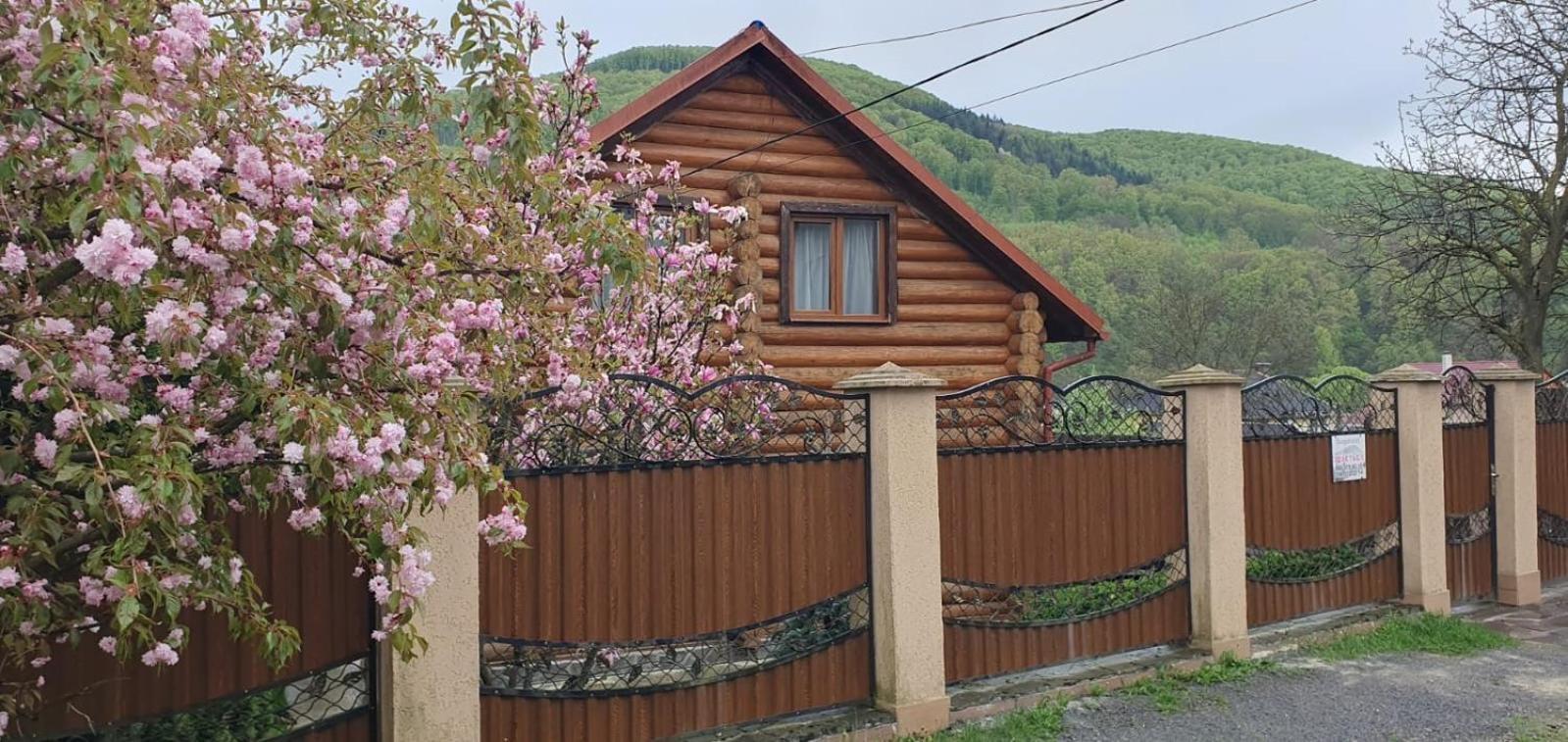 Smerekovyi Dvir ポリアナ エクステリア 写真